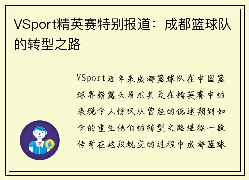 VSport精英赛特别报道：成都篮球队的转型之路