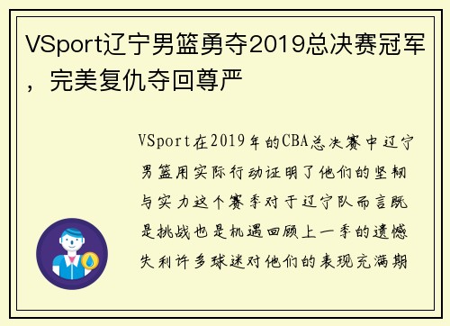 VSport辽宁男篮勇夺2019总决赛冠军，完美复仇夺回尊严