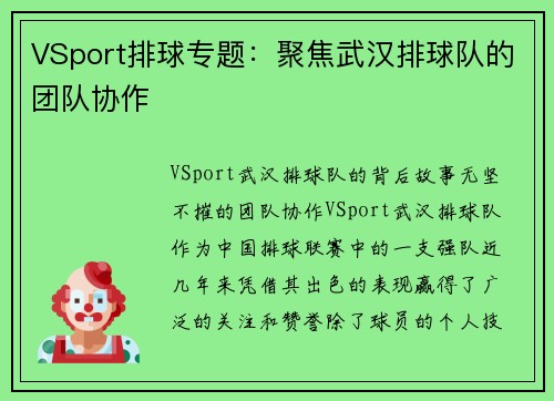 VSport排球专题：聚焦武汉排球队的团队协作