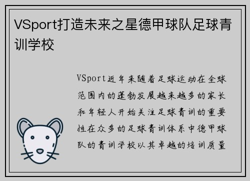 VSport打造未来之星德甲球队足球青训学校